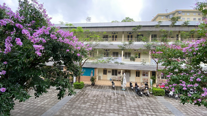 Đại Học Hòa Bình Hà Nội Xét Học Bạ