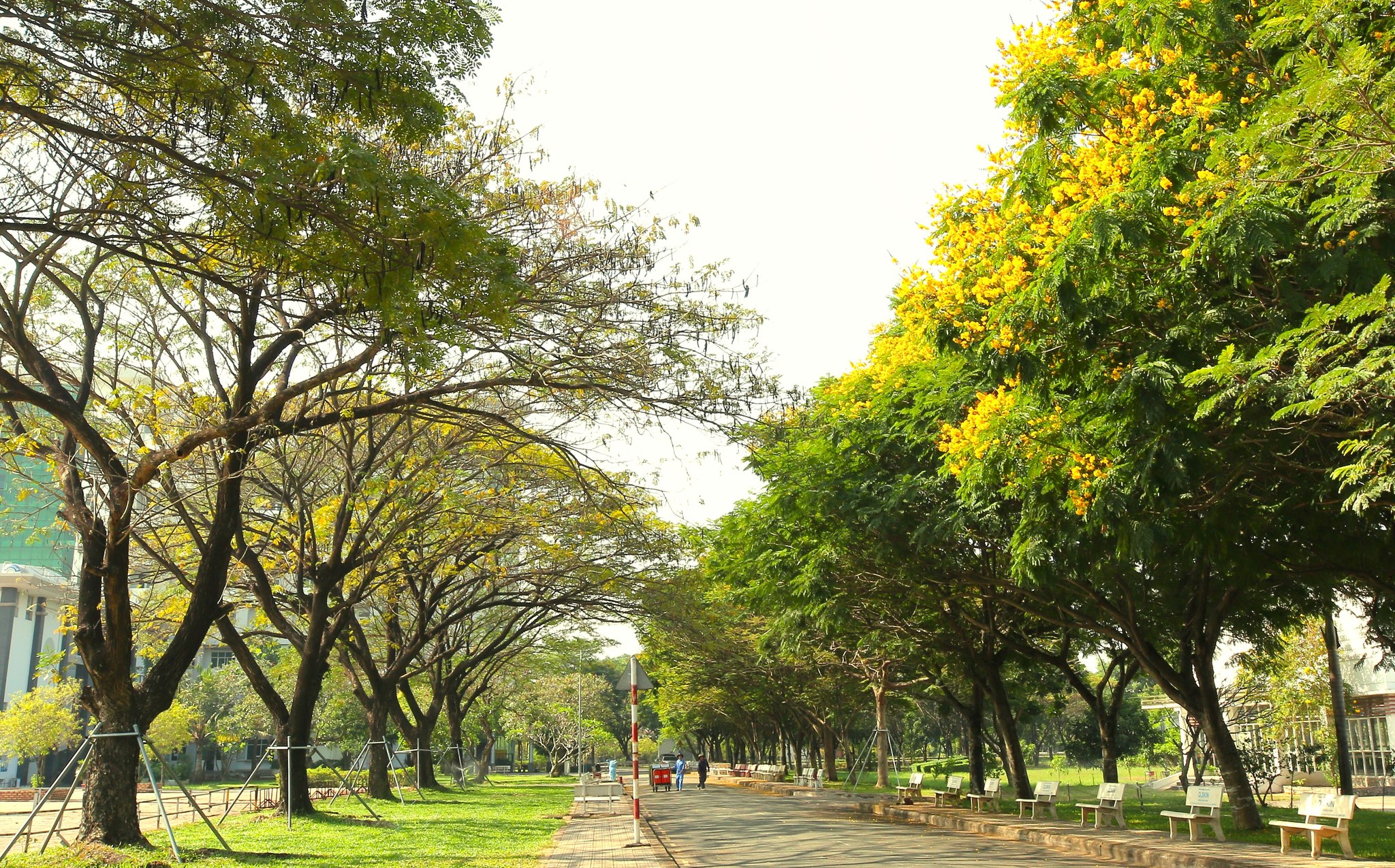 Học Ph&iacute; Đại Học Kinh Tế Luật TP.HCM
